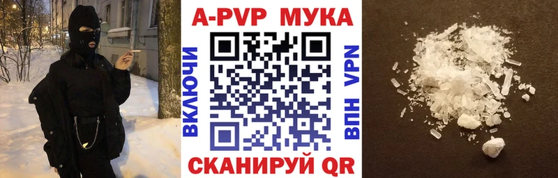 Альфа ПВП СК Кириши